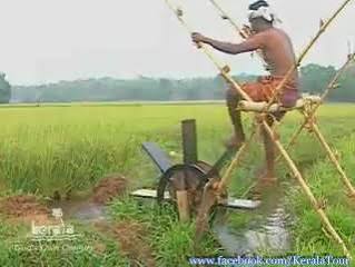 Waterwheel treading or Chakram chavital, an agrarian activity essentially connected with the rural culture of Kerala. In traditional farming, farmers had to irrigate their paddy fields by treading a ...
