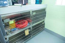 960 likes · 19 talking about this · 761 were here. Take A Tour Of Our Sugar Land Animal Hospital