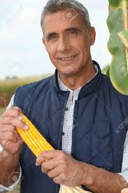 Farmer Holding Corn Stock Photo, Picture and Royalty Free Image. Image  24082386.
