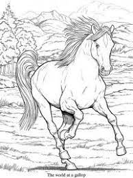 1024 x 783 jpg pixel. 30 Kleurplaten Paarden Tip Gratis Te Printen Topkleurplaat Nl Paarden Dieren Kleurplaten
