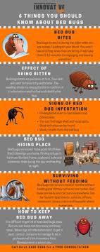 But if you want further advice on how to find a good service, here are some key. Innovative Pest Management Innovativepestsg Profile Pinterest