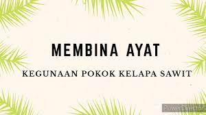 Untuk pengetahuan umum, isi dan kulit buah kelapa sawit ini mengandungi minyak. Bahasa Melayu Membina Ayat Upsr Kegunaan Pokok Kelapa Sawit Youtube