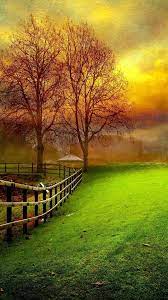 Hd wallpapers and background images Nature Smartphone Wallpapers Wallpaper Cave