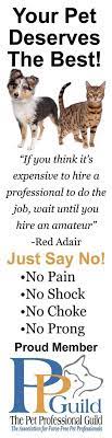 Check spelling or type a new query. The Pet Professional Guild 34 Reasons To Join