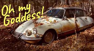 Image result for Plum 2011 Citroen