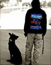 Fredericksburg Virginia Dog Trainers Fredericksburg Off Leash K9 Dog Training Dog Obedience Training Expert Dog Trainer Pro Dog Trainer Nick White
