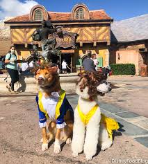 We Met Beauty And The Beast In Dog Form Today In Disney World The Disney Food Blog