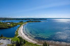 Image result for Hubbardochloa