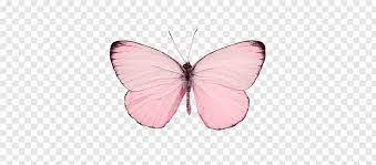 R4ndom Pink Butterfly Png Pink Butterfly Butterfly Illustration Butterfly Clip Art