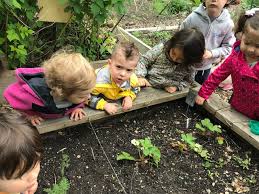 Hgtv shares the best indoor and outdoor gardening kits and tools for kids to encourage exploratory play and engage steam skills. Photos From May Visits To The Kids Garden Hollenback Community Garden