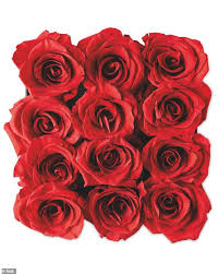 Pour toutes les occasions, saint valentin, fête des mères, fêtes des pères, naissances, mariages. Aldi And Lidl Are Selling 100 Red Roses For Valentine S At A Bargain Price Express Digest