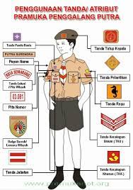 We did not find results for: Tali Tambang Pada Sabuk Pramuka Terletas Di Kiri Atau Dikanan Pertanyaan Nya Singkat Tolong Vepet Brainly Co Id