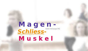 4 Tipps Um Den Magenschliessmuskel Mit Yoga Zu Starken Muskeln Magen Yoga
