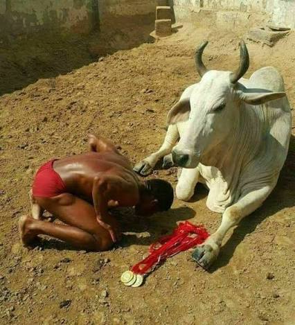 This is Sanjay singh who won Gold medals for India showing his respect to  the cow whose milk he had been having which he believes made him gain  strength so he could