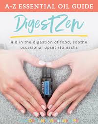 Dilute one drop in 4 fl. Digestzen Blend Essential Oil Benefits And Remedies