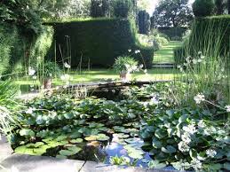 Les Jardins De Castillon Calvados Normandie In 2020 Plants