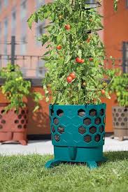 Gardener's supply company pots & planters. Https Www Minotdailynews Com Life Living 2017 05 Grow An Abundant Tomato Harvest In A Pot