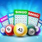 ACCESS Bingo Night