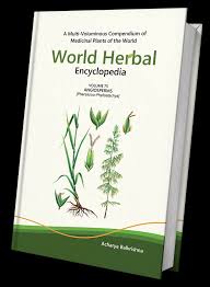 Image result for Phacelurus