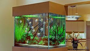 Hal yang sama juga berlaku apabila anda membuat kolam renang yang berukuran lebih besar dari ukuran rumah. Nusabali Com Feng Shui Energi Air Dan Keberuntungan