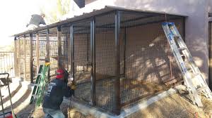 If you see a coyote, pick up your dog and follow the hazing guidelines. Coyote Proof Pet Kennels For Sale Coyote Safe Dog Kennels Coyote Proof Kennels For Pets