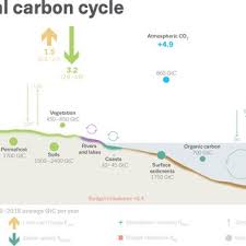 Yab dato' sri mohd najib tun haji abdul razak prime minister and minister of finance malaysia. Pdf Global Carbon Budget 2019