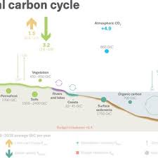 Here are a few highlights that may be beneficial to you. Pdf Global Carbon Budget 2019