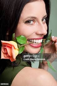 1,188 Sharon Rose Stock Photos, High-Res Pictures, and Images