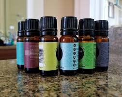 Lavender essential oil is seen as a home remedy for cat fleas. Using Essential Oils For Anxiety In Animals Cats Dogs And Horses Animal Intuition