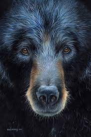 Black Bear I Canvas Artwork By Sarah Stribbling Icanvas Black Bears Art Bear Artwork Bear Paintings