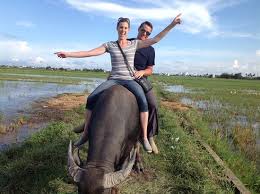 Ben sinclair as the guy, michael cyril creighton as patrick. Riding A Water Buffalo On Our Tour Picture Of Da Nang Easy Riders Tripadvisor