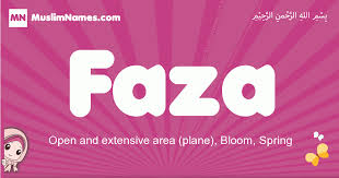 I have a question about something i'm wondering about. Faza Meaning Of The Muslim Baby Name Faza