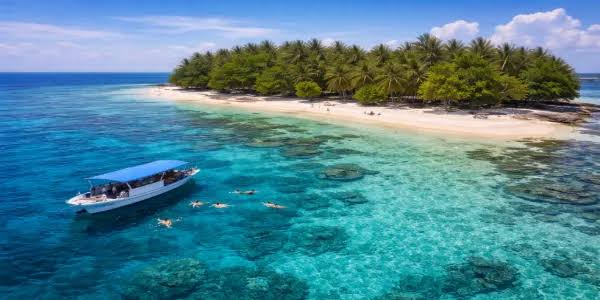 Snorkeling di perairan dangkal jernih Karimunjawa — ikan hias dan terumbu karang terlihat dari permukaan air