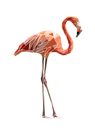 esme vahrmeijer on behance geometric flamingo illustration flamingo illustration flamingo painting geometric animals