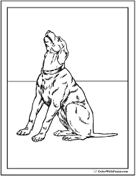 Maybe you would like to learn more about one of these? 35 Dog Coloring Pages Breeds Bones And Dog Houses