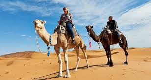 Sleep in a nomad desert camp. Merzouga Activities Camel Trekking And Desert Trips Africa Morocco Tours