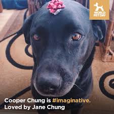 Profile for World Pet Day