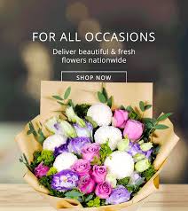 Free same day delivery flowers singapore. Flower Chimp Singapore Picked Just For You Milled