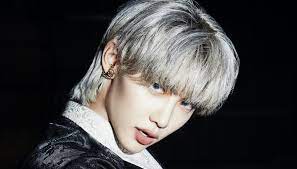 Maybe you would like to learn more about one of these? Felix Stray Kids Profile K Pop Database Dbkpop Com
