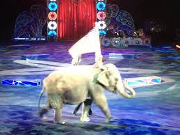 Garden Brothers Circus Cleveland Review At En Lp Diamonds Net