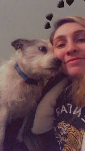 This is my 16 year old Jack Russell/ Boston Terrier, he has been my best  friend and soon I will have to say goodbye my love : r/jackrussellterrier