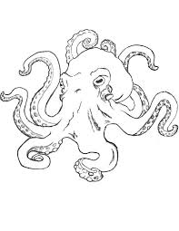 Octopus Wip By Tsubatsu Octopus Drawing Octopus Sketch Realistic Drawings Draw an inverted u shape, with the open ends rounded in to the inside. octopus wip by tsubatsu octopus