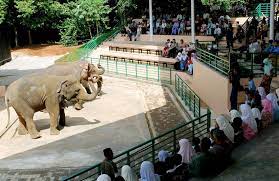 January 2 through march, 2021 adults $14.25 child (3 to 12) $11.25 child (2 and under) free Melaka Zoo Returned To State Govt The Star