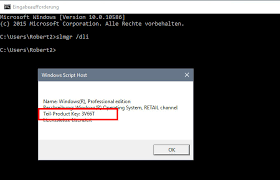 Zwar machen diese tools letztendlich dasselbe, um den product key von windows 10 auslesen, aber so ist man sicher. Windows 10 Key Auslesen So Geht S