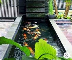 11 inpirasi desain pagar rumah. Desain Kolam Ikan Mini Radea