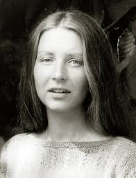 Die kognitive Perspektive