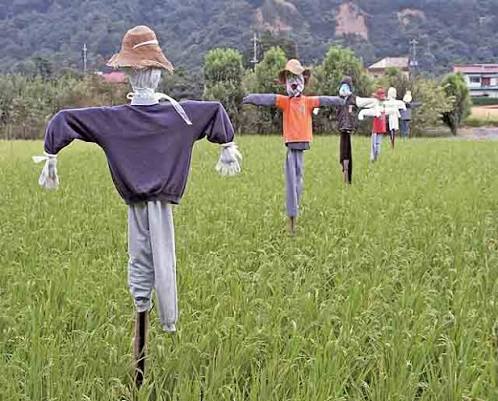 Scarecrow - Wikipedia