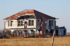 Terri Loth (terriloth)