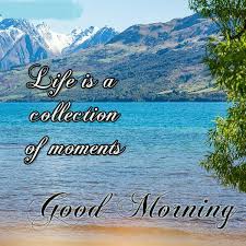 Below is our collection of new good morning images with quotes in hindi language to wish your. Good Morning Quotes In English For Whatsapp Good Quotes