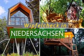 Insbesondere große bäume können für gartenbesitzer zum problem werden. Baumhaushotels Niedersachsen 14 Luftige Wipfeldomizile Fur 2021